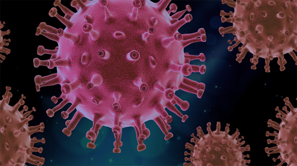 SARS-CoV-2 Detection Test with the molecular method RT-PCR