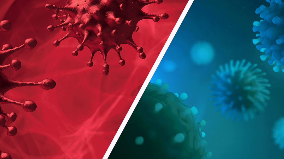 Μοριακή Εξέταση ταυτόχρονης Ανίχνευσης 3 ιών: Α και Β της γρίπης και του κορωνοϊού SARS-CoV-2