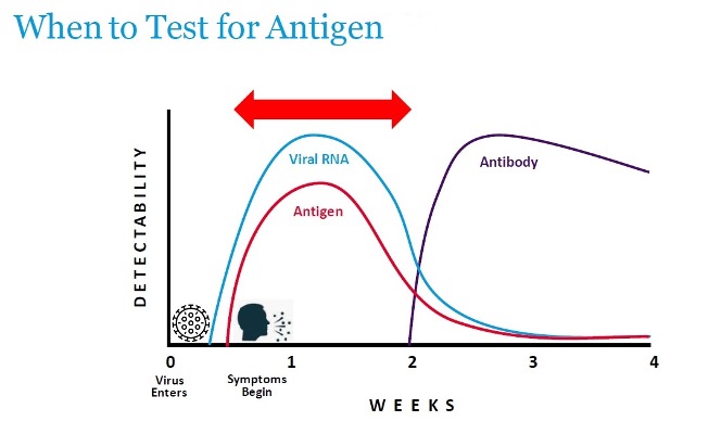 Τεστ Ταχείας Ανίχνευσης Αντιγόνου (rapid test)